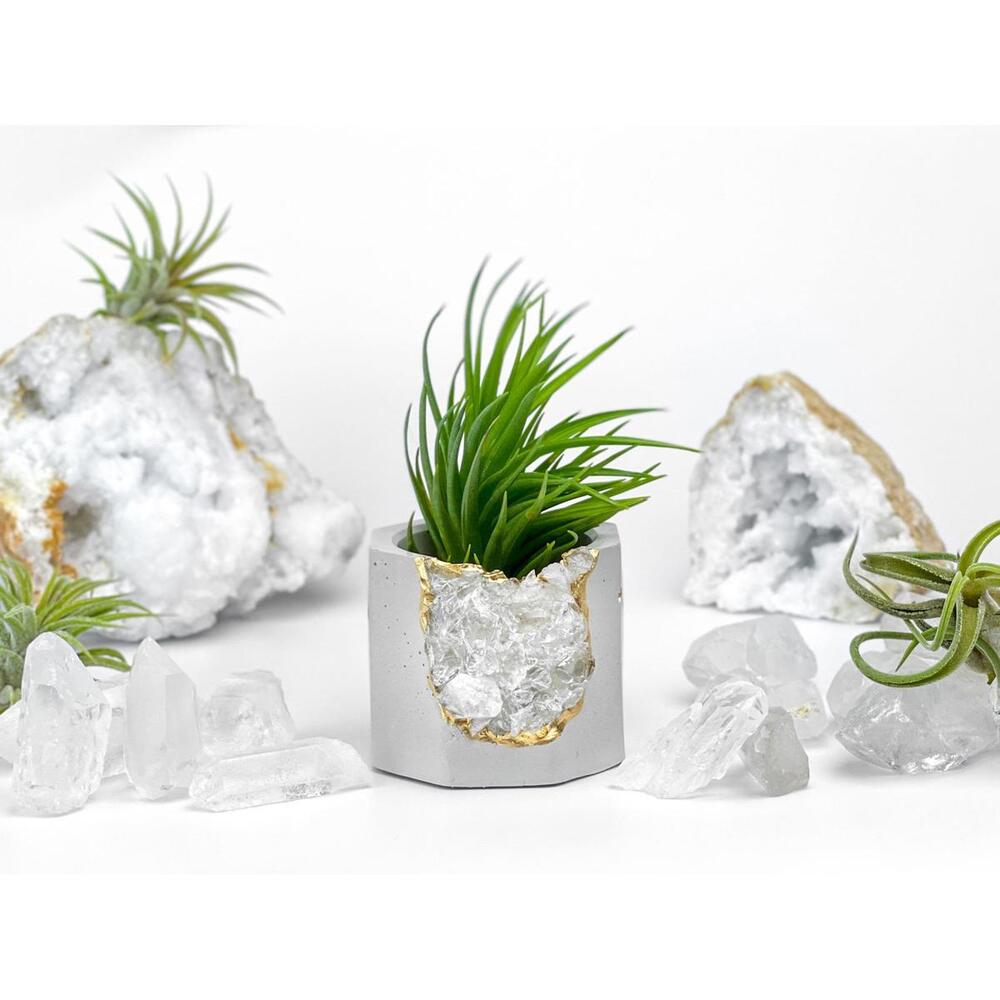 Raw Clear Quartz Crystal Planter Air Plant Holder Display